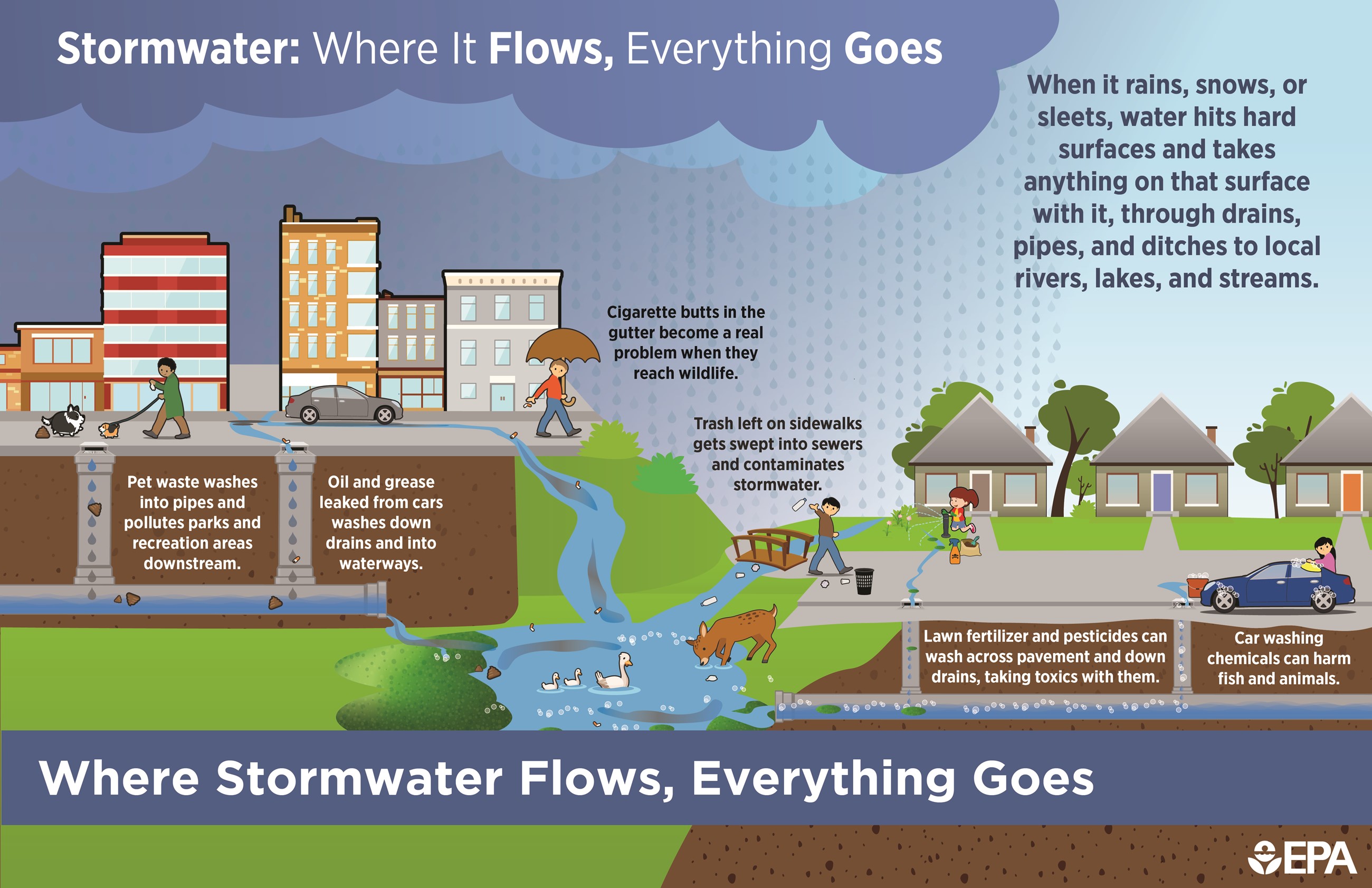 Infographic of Stormwater Flow